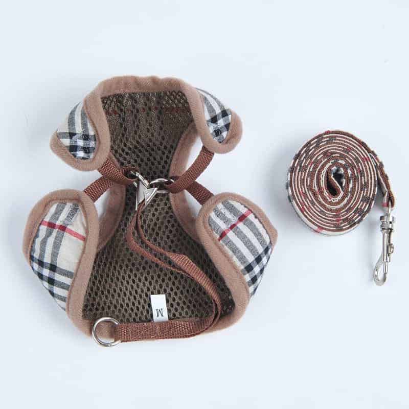 Beige Designer Yorkie Harness