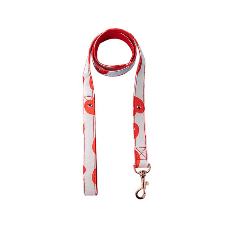 Lovely Yorkie Harness & Leash