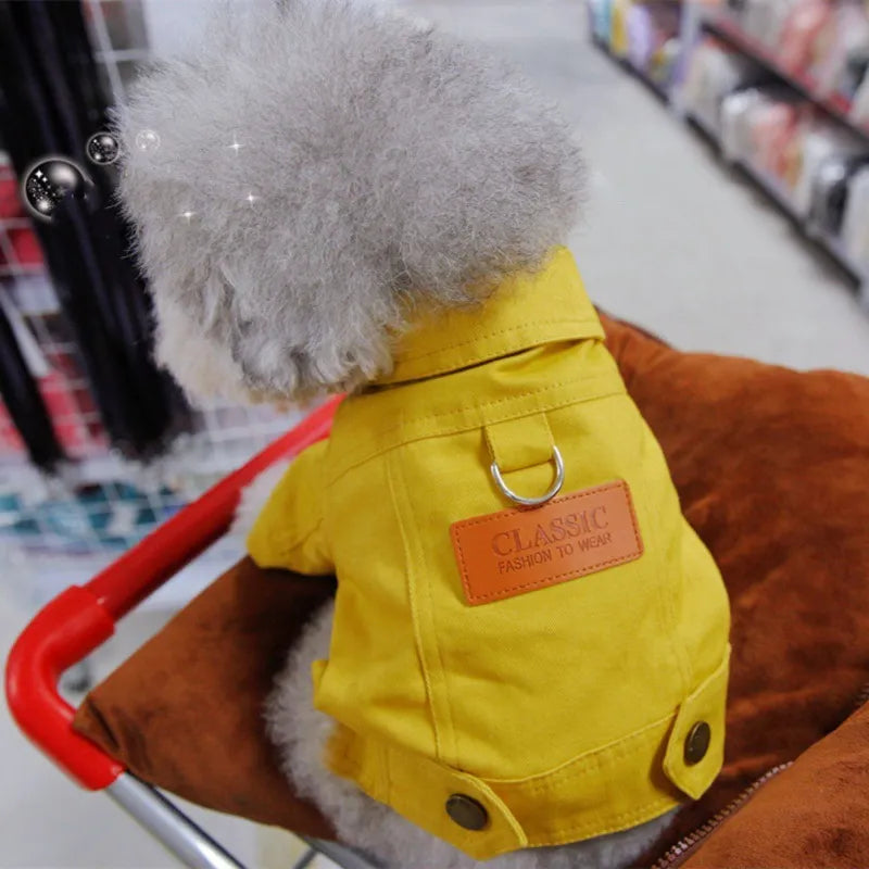 Denim Dream Yorkie Jacket - image 11
