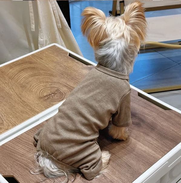 soft yorkie pajama