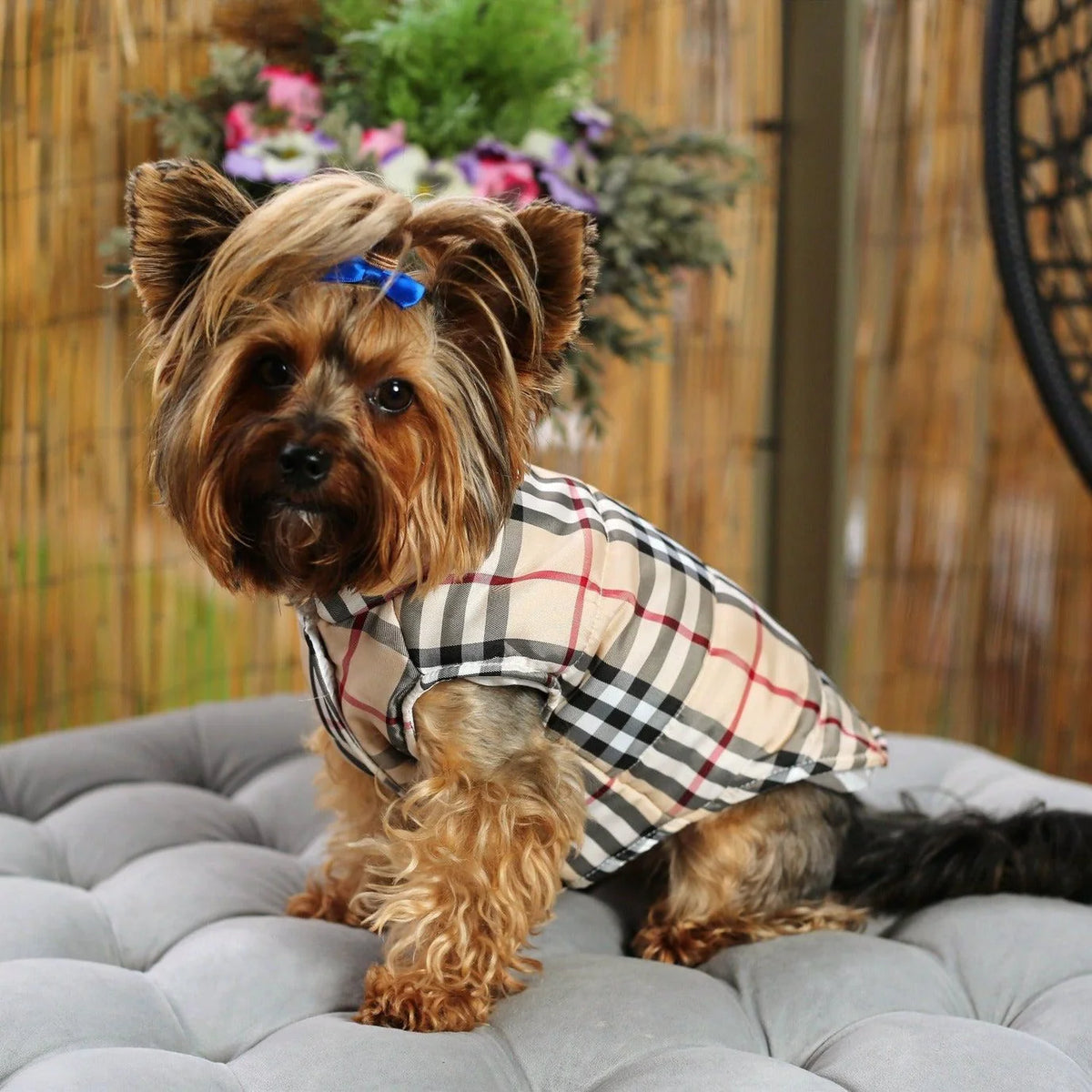 Designer Yorkie Vest Jacket