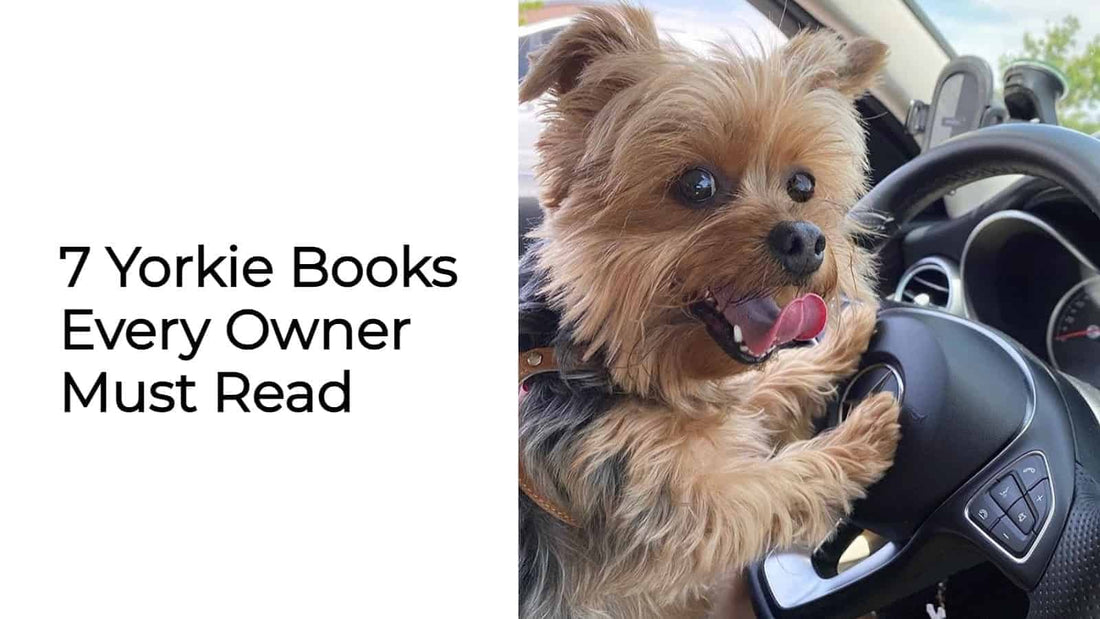 7 Yorkie Books Every Owner Must Read