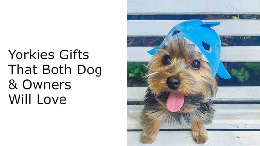 Yorkies Gifts That Both Dog & Owners Will Love