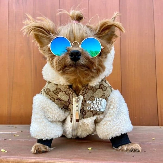 yorkie winter jackets