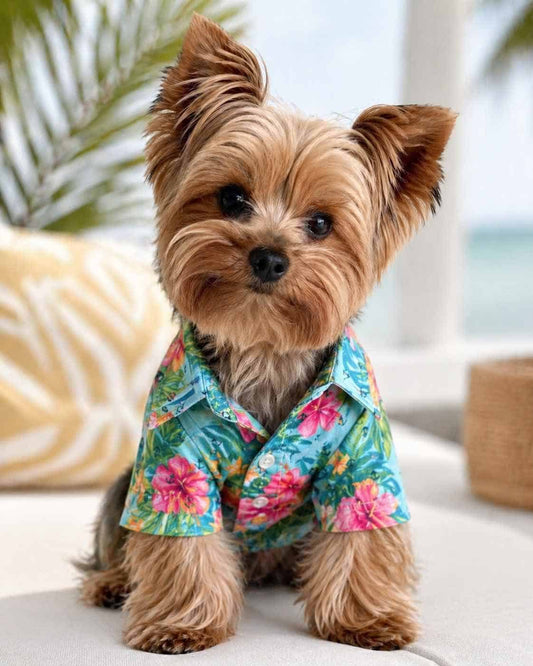 hawaii_yorkie_shirt_yorkies gram