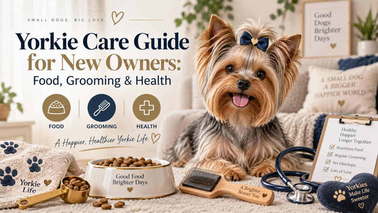 yorkie care guide for new owners