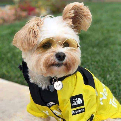 B.A.T.N. Dog Windbreaker