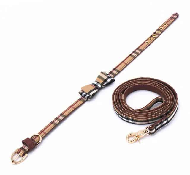furberry-yorkie-leash-and-bowtie-collar