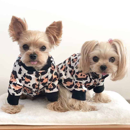 yorkie jacket