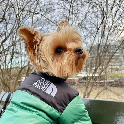 the dog face puffer jacket green