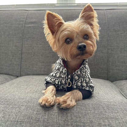 dior dog jacket