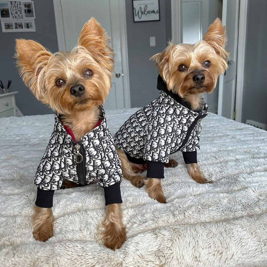 adore dog jacket