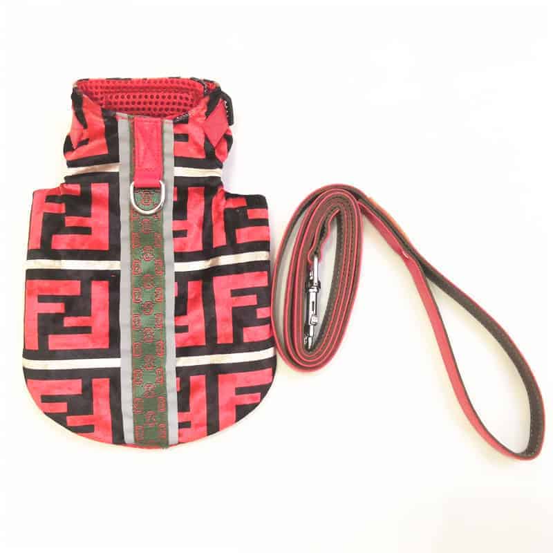 Luxury Yorkie Jacket & Leash