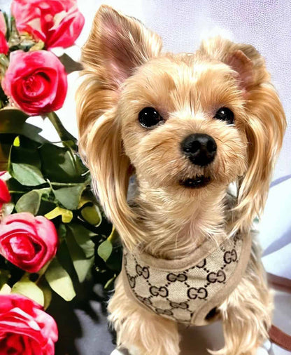 pawcci designer dog yorkie harnes with leash set