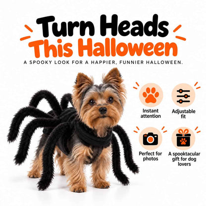 Spider Halloween Yorkie Costume