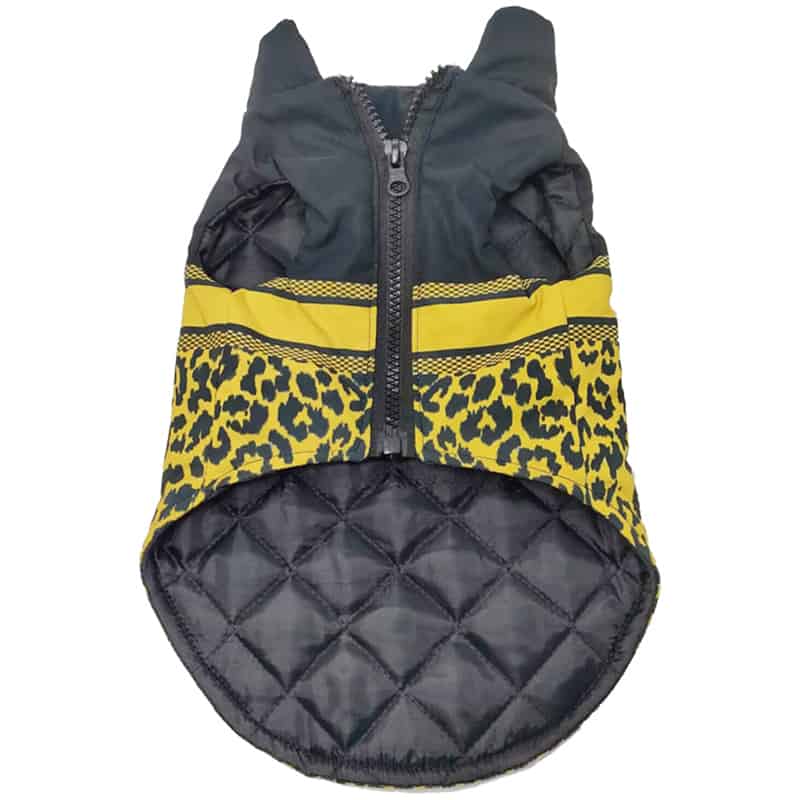 designer-yorkie-diordog-vest-jacket