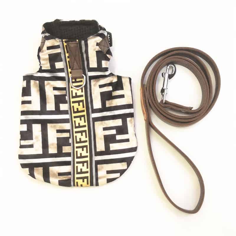 Luxury Yorkie Jacket & Leash - image 5