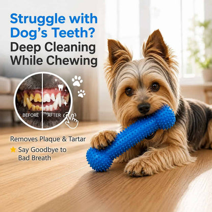 Clean Teeth Chew Toy for Dogs