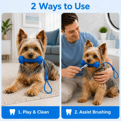 Clean Teeth Chew Toy for Dogs