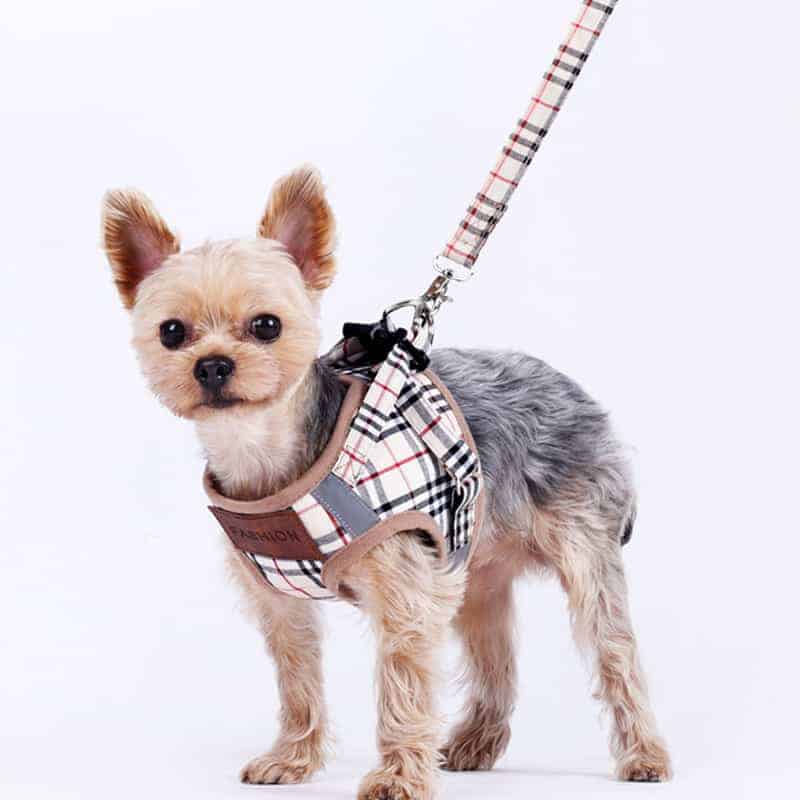 Yorkie Harness & Leash Set