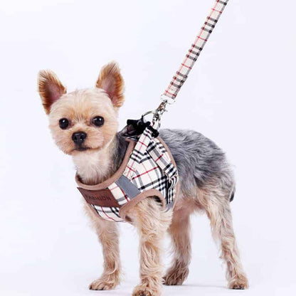 Yorkie Harness & Leash Set
