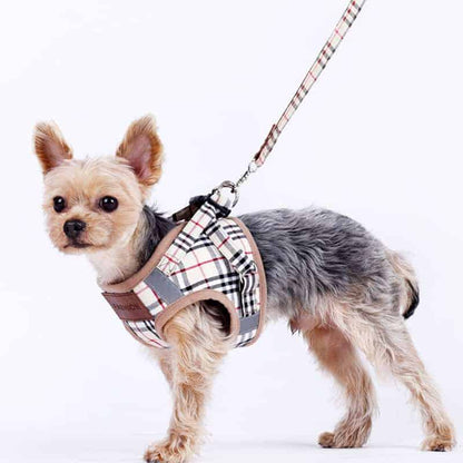 Yorkie Harness & Leash Set