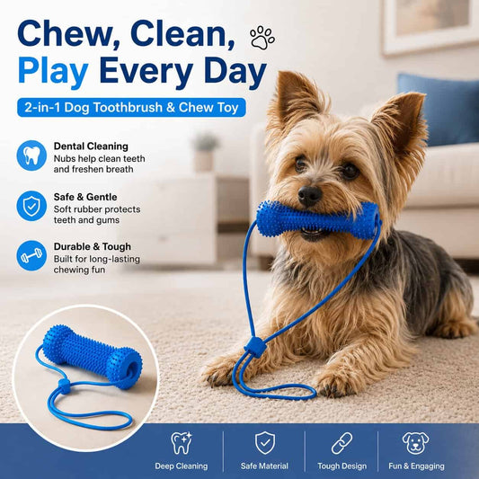 Clean Teeth Chew Toy for Dogs