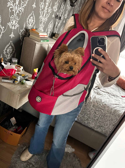 Woof Wagon Yorkie Carrier