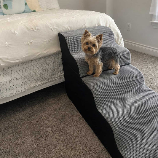 Anti-Slip Yorkie Stairs