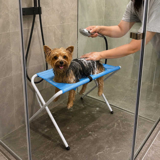 Yorkie Grooming & Bath Stand