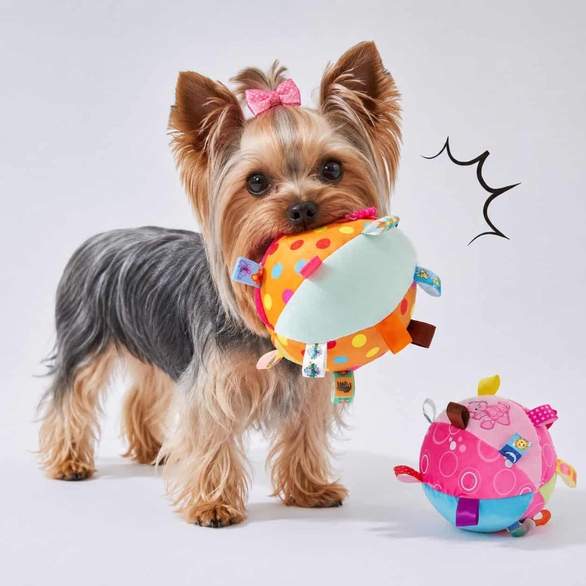 yorkies-gram-toy