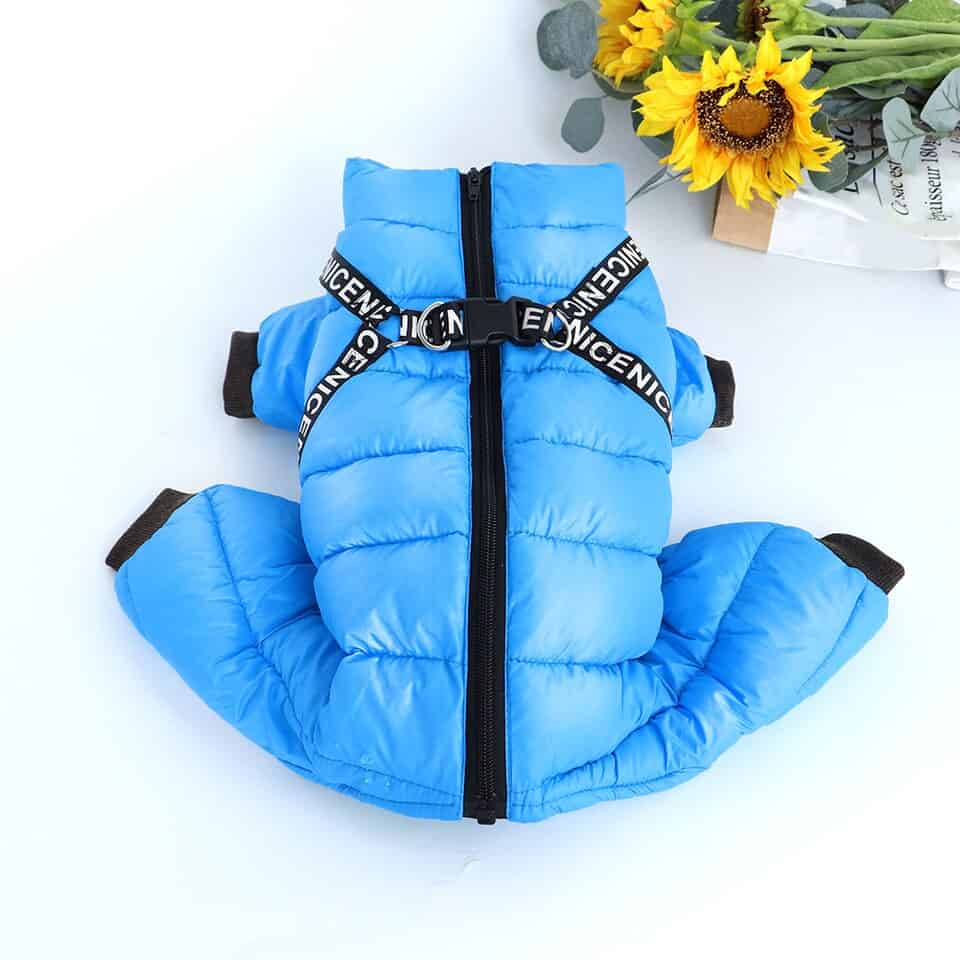 Yorkie Harness Jacket