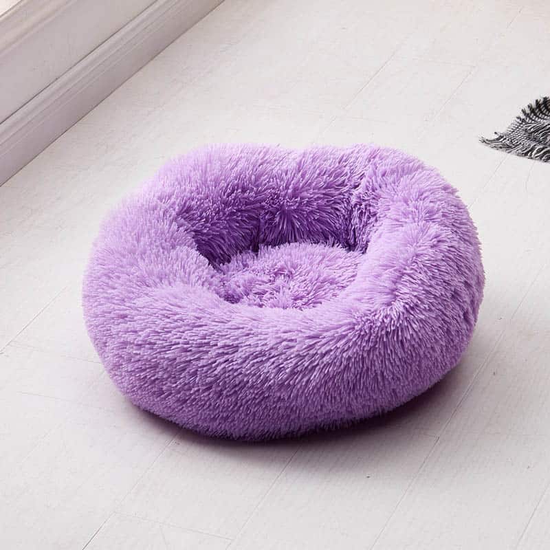 Yorkie Soft Bed