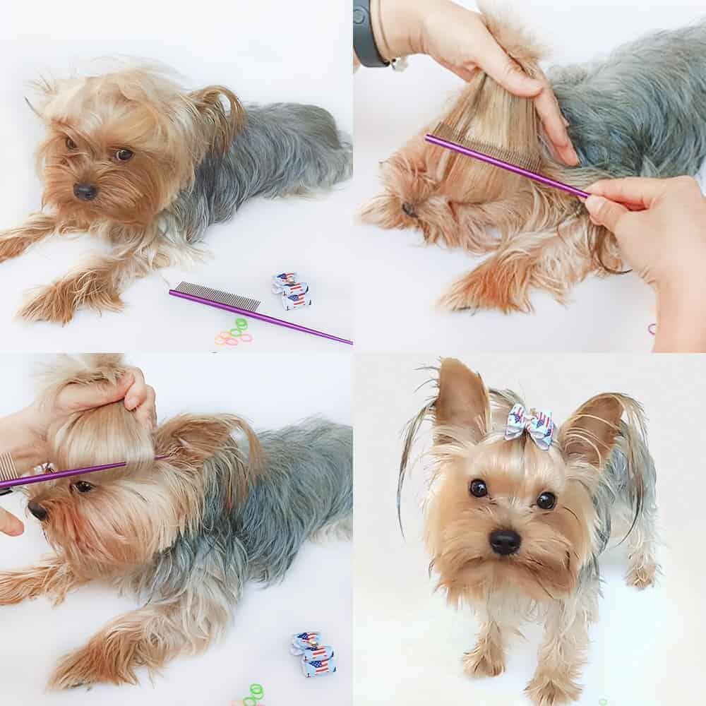 Sleek Comb for Yorkshire Terriers