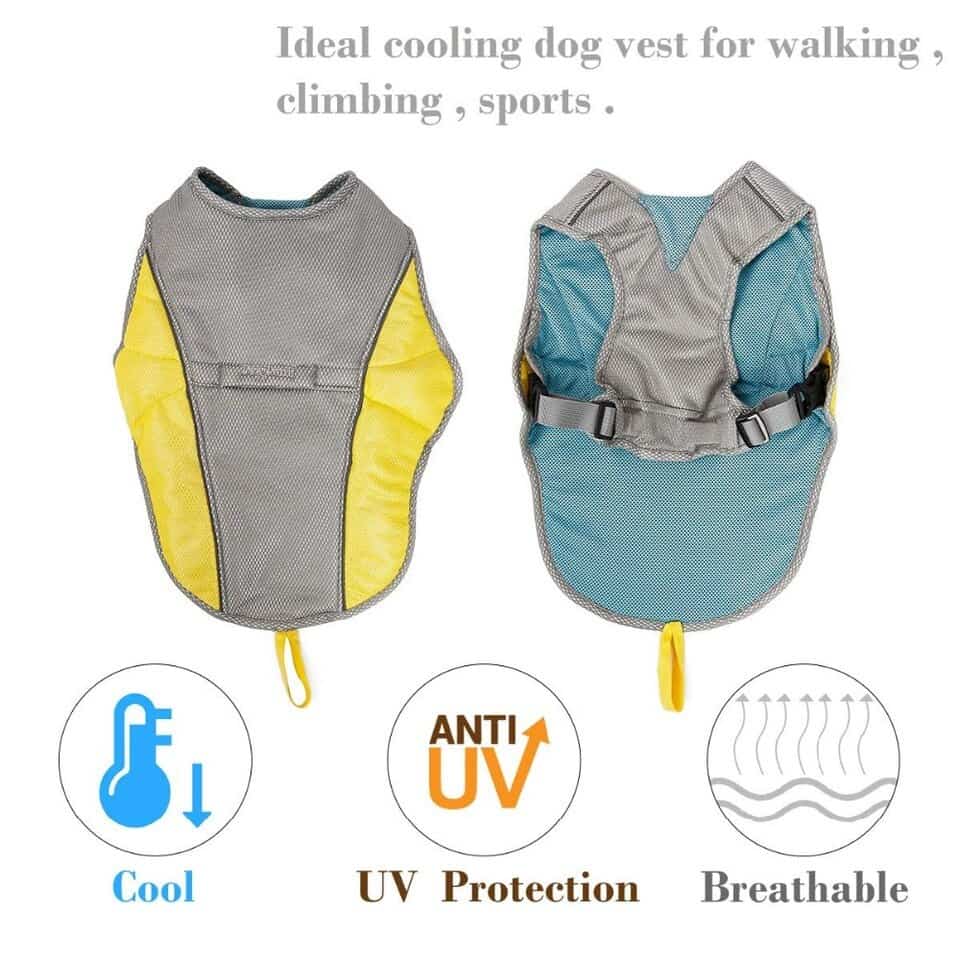 Yorkie Cooling Vest
