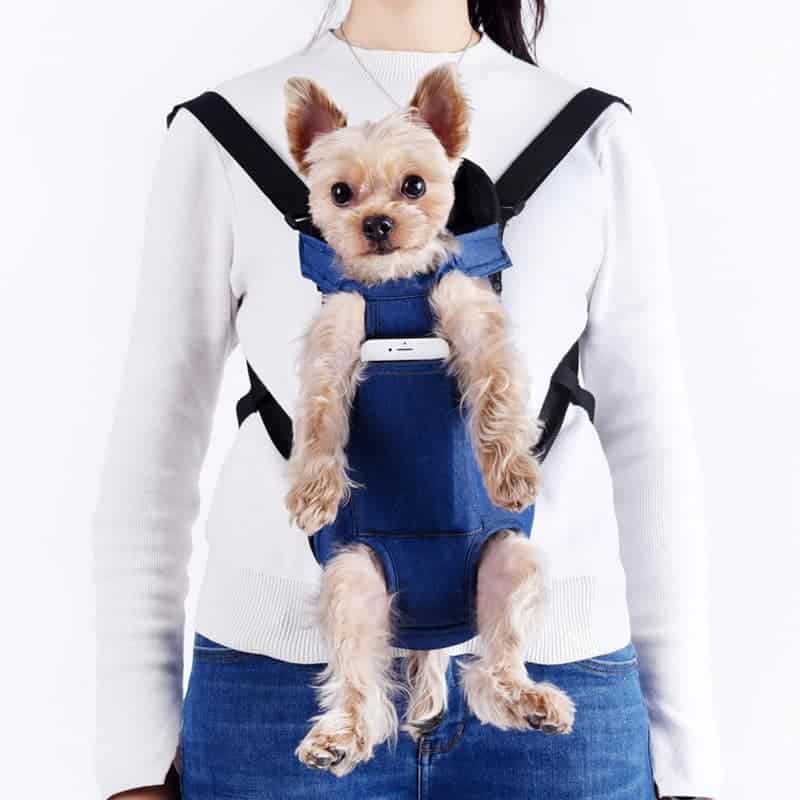 Yorkie Dog Carrier - image 13