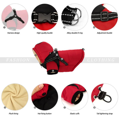 Yorkie Winter Harness Jacket