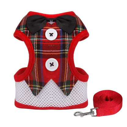 Yorkie Vest Harness and Leash Set