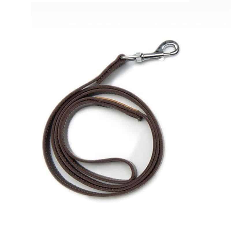 Luxury Yorkie Jacket & Leash