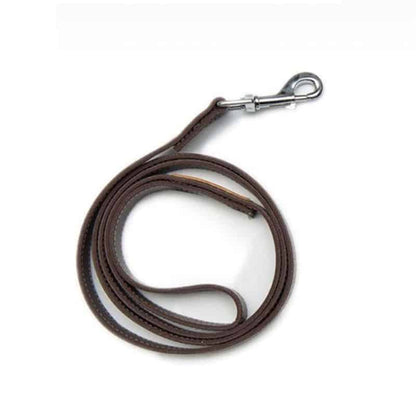 Luxury Yorkie Jacket & Leash