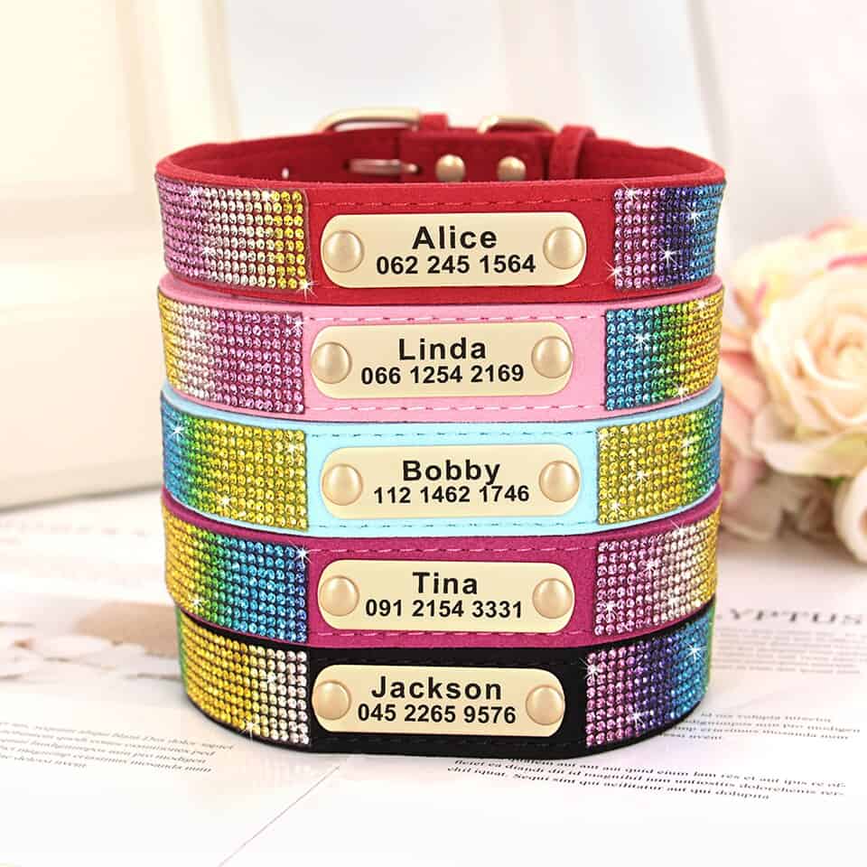 Personalized Yorkie Collar
