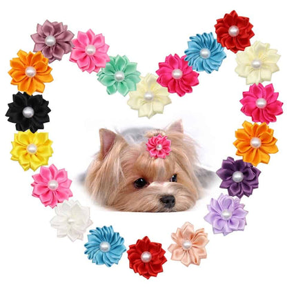pretty-little-bows-yorkie