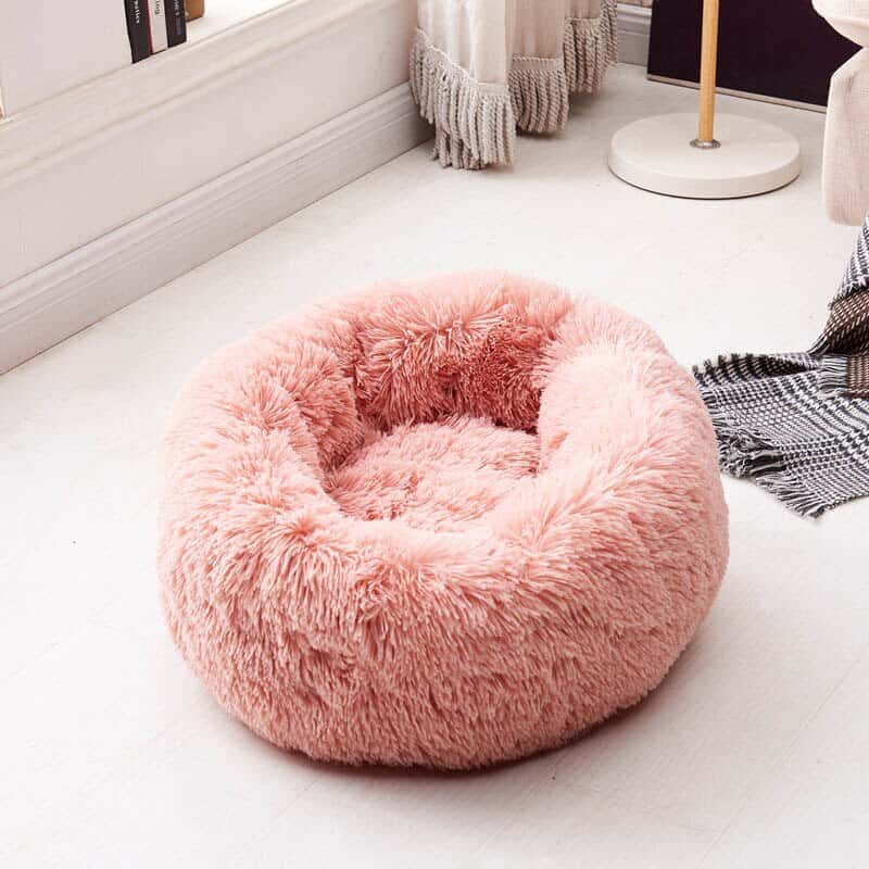 Yorkie Soft Bed