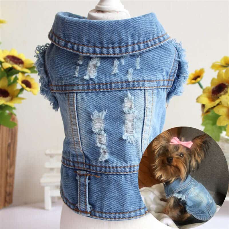 Yorkshire Terrier Denim Shirt