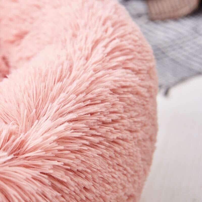 Yorkie Soft Bed