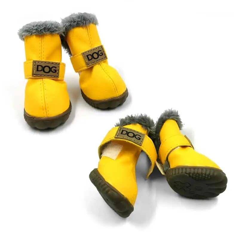 Winter Yorkie Shoes