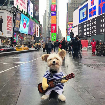 guitar-player-yorkie-costume yorkie halloween costume