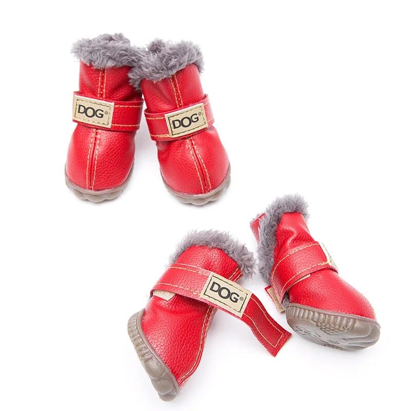 Winter Yorkie Shoes