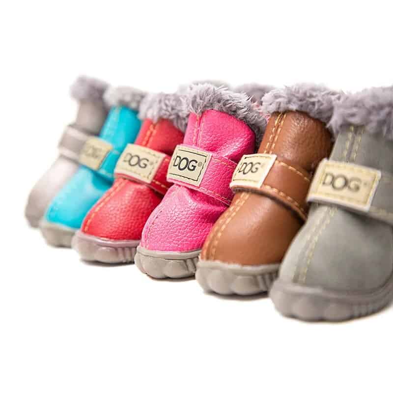 Winter Yorkie Shoes