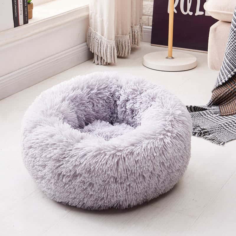 Yorkie Soft Bed